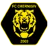 切尔尼夫 队徽